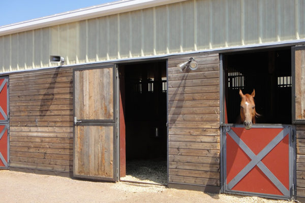 Capital Steel Horse Barn